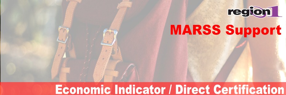 Economic Indicator / Direct Certification